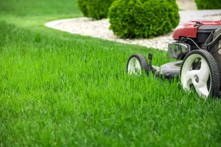 Professional Lawn Care