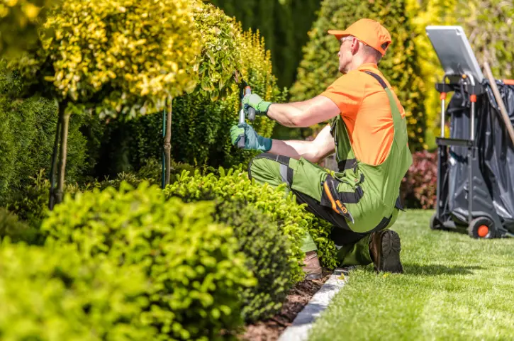Trusted Hedge Trimming Service
