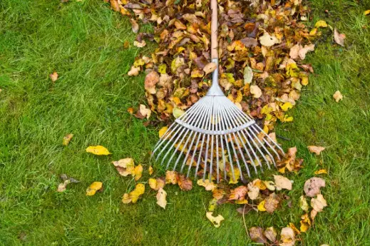 Fall-Lawn-Care-Tips