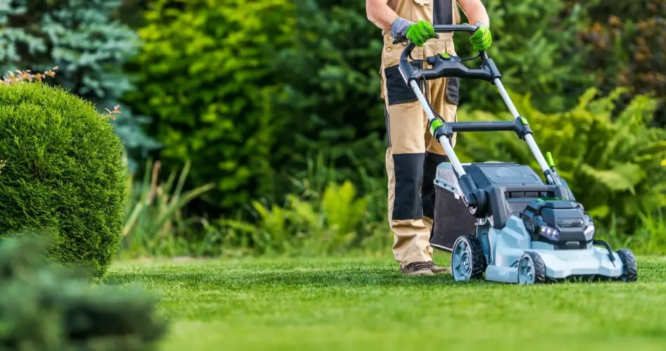 gardener-trimming-grass-lawn-using-electric-cordless-mower