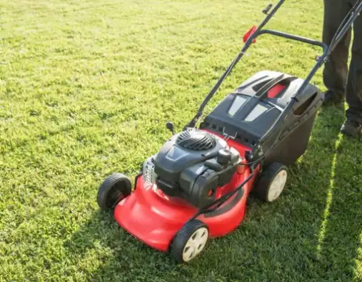 mowing-the-lawn
