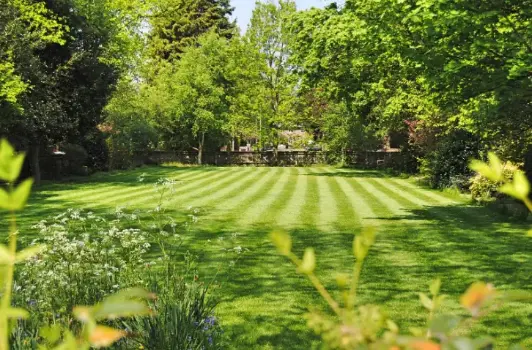 summer-lawn-care-tips