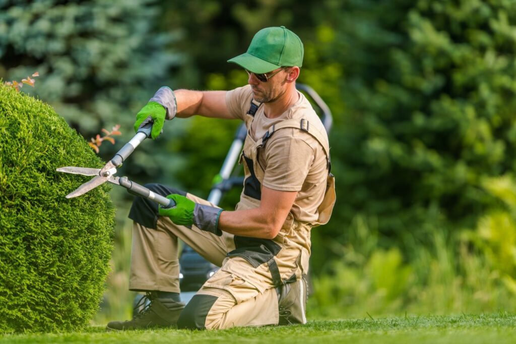 professional garden worker trimming plants using scissors.jpg