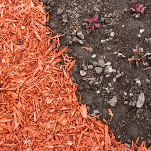 Side-by-side comparison of topsoil and mulch in a garden setting, showing their texture and uses.